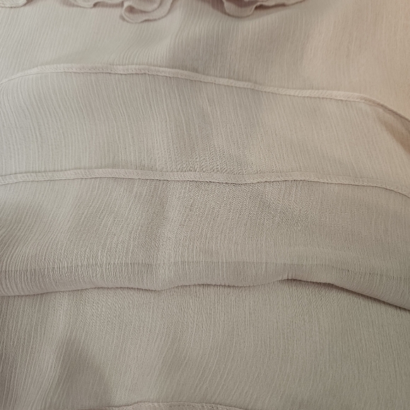 Express Blush Crinkle Semi-Sheer Ruffle Blouse Size Medium Women's Top - Picture 5 of 8